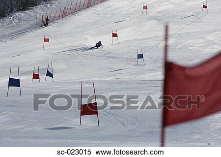Stock Photography - Giant Slalom Skier. Fotosearch