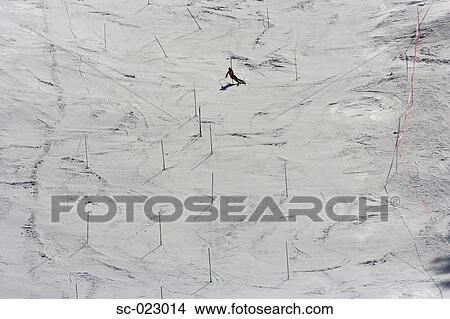 Slalom Skier View Large Photo Image Picture - Slalom Skier. Fotosearch