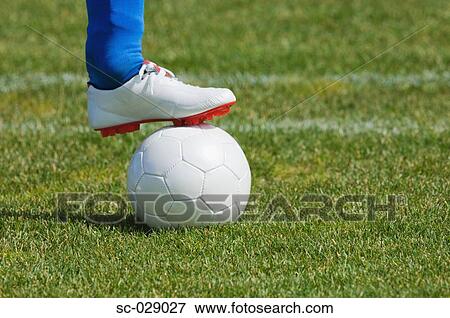 Stock Photo - Soccer Player Holding Ball. Fotosearch