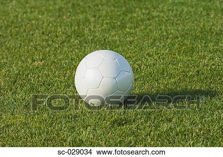 Picture - White Ball. Fotosearch