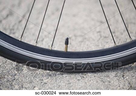 Picture - Close up of bicycle air valve and tire. Fotosearch
