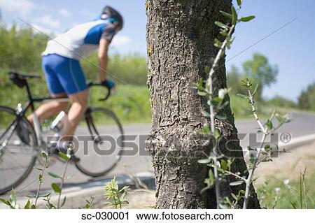 Stock Image - Cyclist cycling on road with tree bark in the foreground. Fotosearch