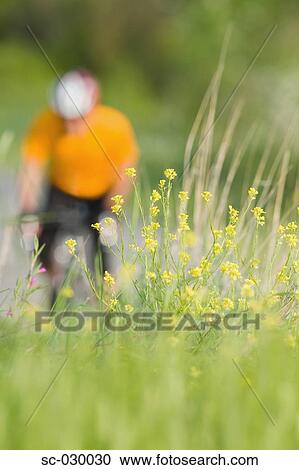 Stock Image - Cyclist with bushes in foreground. Fotosearch