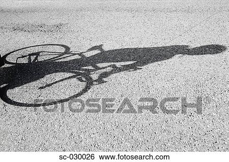Stock Photograph - Shadow of a bicyclist casting on road . Fotosearch