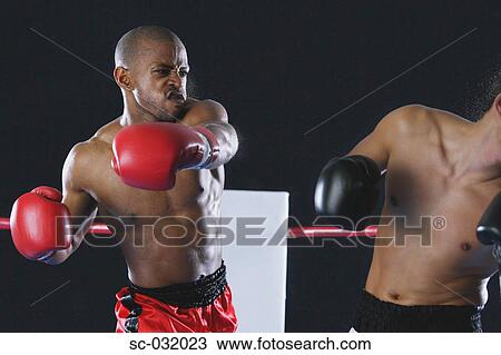 African boxer hitting his opponent View Large Photo Image Stock Image - African boxer hitting his opponent. Fotosearch