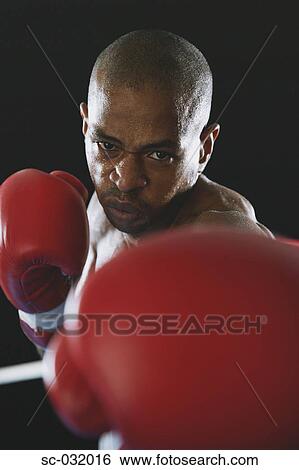 African boxer wearing Boxing gloves View Large Photo Image Stock Photograph - African boxer wearing Boxing gloves. Fotosearch