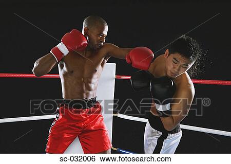 Boxers fighting in Boxing ring View Large Photo Image Stock Photograph - Boxers fighting in Boxing ring. Fotosearch