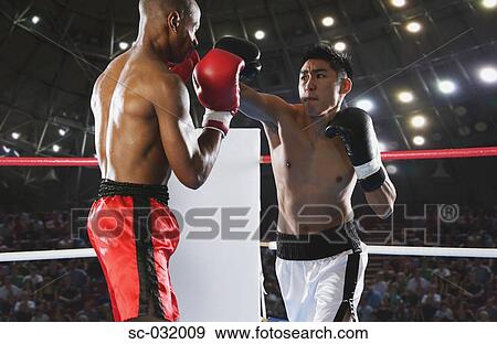 Two boxers fighting in Boxing ring View Large Photo Image Stock Photo - Two boxers fighting in Boxing ring. Fotosearch