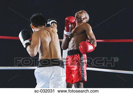 Stock Image - Two men fighting in Boxing ring. Fotosearch