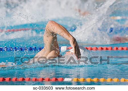 Australian athlete doing front crawl stroke View Large Photo Image Stock Image - Australian athlete doing front crawl stroke. Fotosearch