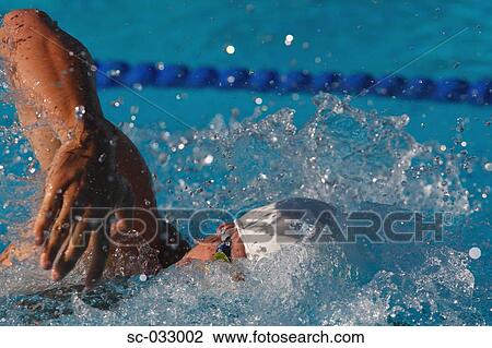 Australian swimmer doing front crawl swimming stroke View Large Photo Image Stock Image - Australian swimmer doing front crawl swimming stroke. Fotosearch