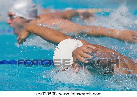 Australian swimmers competing for butterfly swimming stroke View Large Photo Image Stock Photo - Australian swimmers competing for butterfly swimming stroke. Fotosearch
