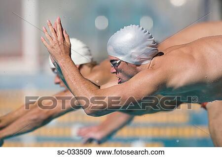 Stock Photo - Australian swimmers diving for breaststroke competition. Fotosearch