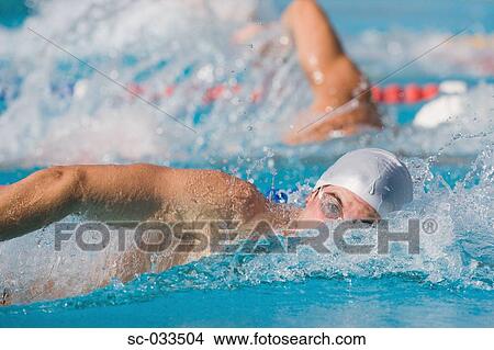 Picture - Australian swimmers doing front crawl. Fotosearch