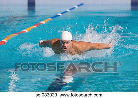 Swimmer swimming butterfly stroke View Large Photo Image Stock Image - Swimmer swimming butterfly stroke. Fotosearch