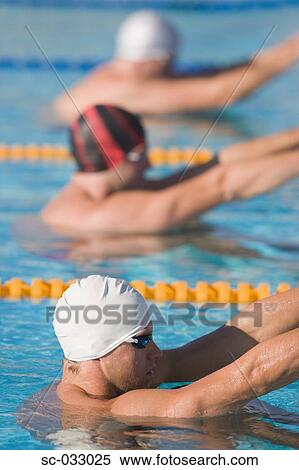 Swimmers doing backstroke swimming View Large Photo Image Stock Photography - Swimmers doing backstroke swimming. Fotosearch