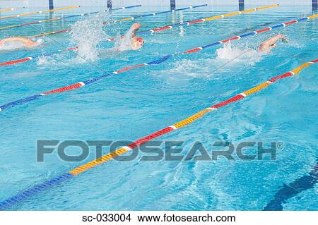 Picture - Three australian swimmers competing . Fotosearch