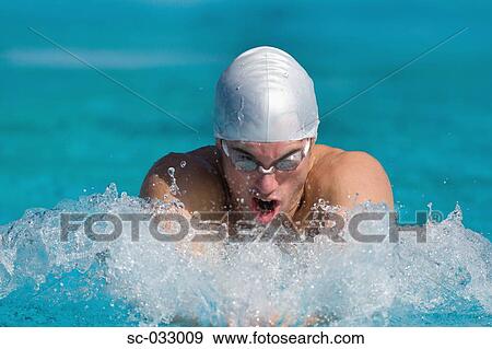 Stock Photo - Young australian athlete doing breaststroke. Fotosearch