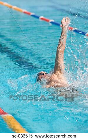 Young Australian swimmer doing backstroke View Large Photo Image Stock Photography - Young Australian swimmer doing backstroke. Fotosearch