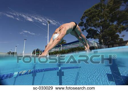Stock Photo - Young swimmer diving into swimming pool. Fotosearch