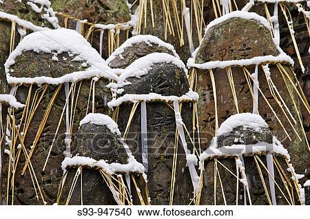 墓 石 刻まれる で 漢字 特徴 はねるように駆けなさい で わら ロープ そして 雪 で 覆われる において Fushi Inari Taisha 神社 中に 京都 ストックイメージ S93 Fotosearch