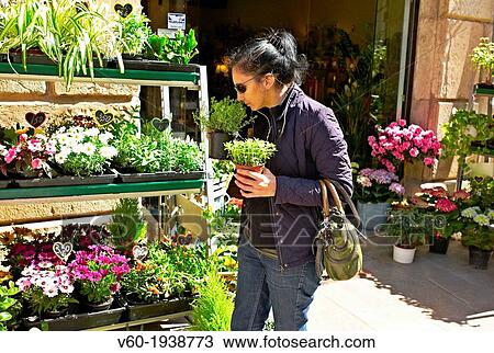 -Woman Buying Plants- Gold Coast (Spain). View Large Photo Image Stock Image - -Woman Buying Plants- Gold Coast (Spain).. Fotosearch