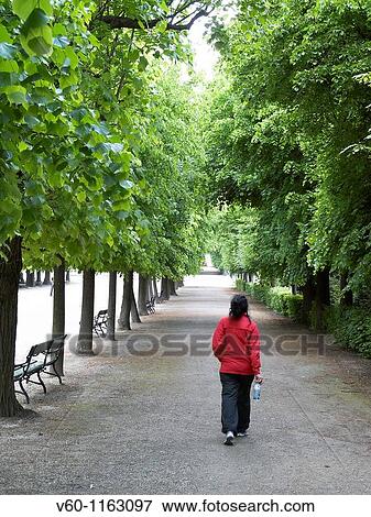 -Woman Walking Along Avenue of Trees- Wien (Austria). View Large Photo Image Stock Photo - -Woman Walking Along Avenue of Trees- Wien (Austria).. Fotosearch