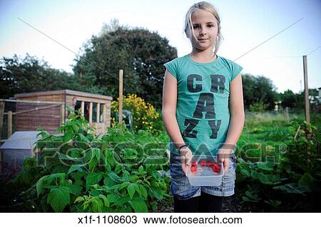 10 year old girl collecting fresh raspberries on her mother's allotment garden, UK View Large Photo Image Stock Image - 10 year old girl collecting fresh raspberries on her mother's allotment garden, UK. Fotosearch