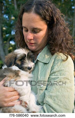 12 week old Tibetan terrier puppy View Large Photo Image Stock Image - 12 week old Tibetan terrier puppy. Fotosearch