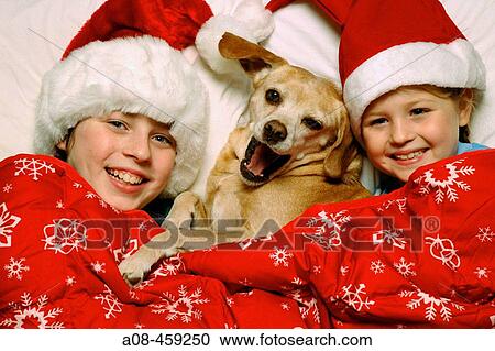 Stock Image - 12 year old boy, 7 year girl and the family pet, a Beagle mix are all wrapped up in Christmas spirit.. Fotosearch