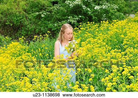 15 to 20 years, 15-20 years, Young girl in the middle of a field with yellow flowers View Large Photo Image Stock Photo - 15 to 20 years, 15-20 years, Young girl in the middle of a field with yellow flowers. Fotosearch