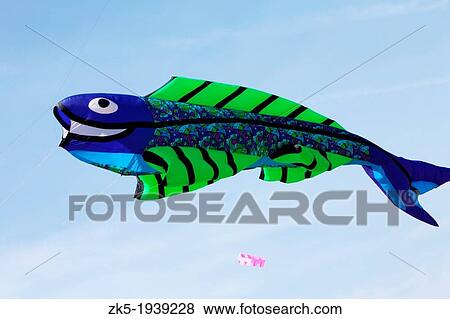 16th festival of kites, flying fish, Valencia, Spain View Large Photo Image Stock Photo - 16th festival of kites, flying fish, Valencia, Spain. Fotosearch
