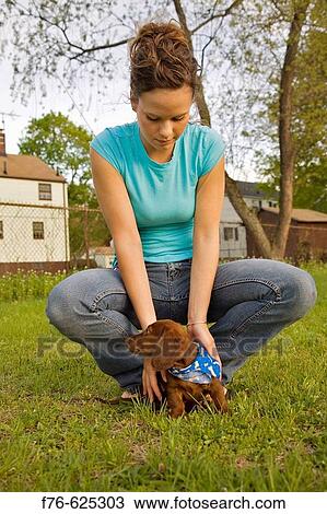18 year old girl with her 2 month old miniature dachshund puppy View Large Photo Image Stock Image - 18 year old girl with her 2 month old miniature dachshund puppy. Fotosearch