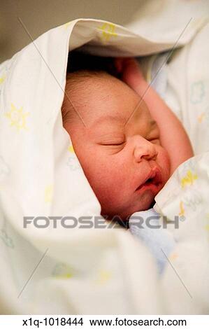 2 1/2 hours old baby boy sleeping at the maternity ward View Large Photo Image Picture - 2 1/2 hours old baby boy sleeping at the maternity ward. Fotosearch