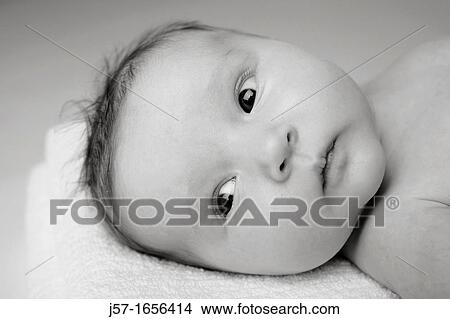 2 month old baby girl laying on a towel in the studio looking off camera. View Large Photo Image Picture - 2 month old baby girl laying on a towel in the studio looking off camera.. Fotosearch