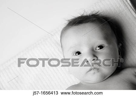 2 month old baby girl laying on a towel in the studio looking at the camera. View Large Photo Image Stock Image - 2 month old baby girl laying on a towel in the studio looking at the camera.. Fotosearch