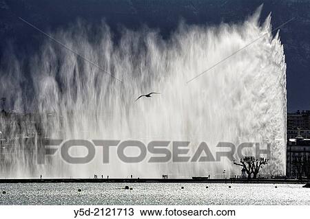 200 meters high famous fountain on Geneva Lake - Jet d? Eau, Geneva, Switzerland View Large Photo Image Stock Image - 200 meters high famous fountain on Geneva Lake - Jet d? Eau, Geneva, Switzerland. Fotosearch