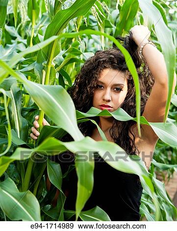 21 year old brunette woman standing by corn plants View Large Photo Image Stock Photo - 21 year old brunette woman standing by corn plants. Fotosearch