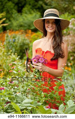 25 year old brunette woman in a garden settng wearing a dress and a straw hat cutting flowers for a bouquet View Large Photo Image Stock Image - 25 year old brunette woman in a garden settng wearing a dress and a straw hat cutting flowers for a bouquet. Fotosearch