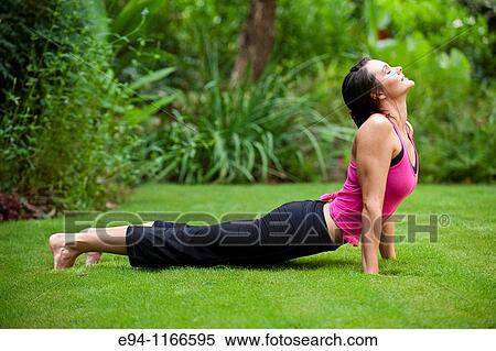 25 year old brunette woman in a garden settng wearing work out clothing dow the yoga pose upward facing dog profile view. View Large Photo Image Stock Photography - 25 year old brunette woman in a garden settng wearing work out clothing dow the yoga pose upward facing dog profile view.. Fotosearch