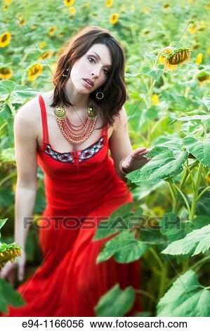 26 year old brunette woman wearing a red dress in a field of sunflowers View Large Photo Image Stock Photograph - 26 year old brunette woman wearing a red dress in a field of sunflowers. Fotosearch