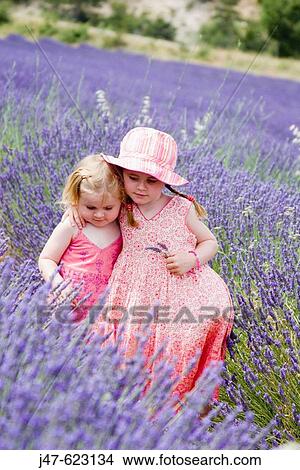 3 and 5 year old sisters standing together in a field ful of lavender, with their arms round each other View Large Photo Image Picture - 3 and 5 year old sisters standing together in a field ful of lavender, with their arms round each other. Fotosearch