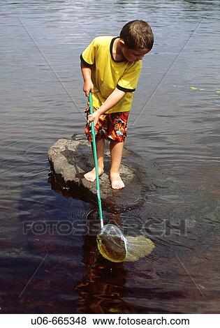 3 year old boy attempting to dip fish with a dipnet View Large Photo Image Stock Photo - 3 year old boy attempting to dip fish with a dipnet. Fotosearch