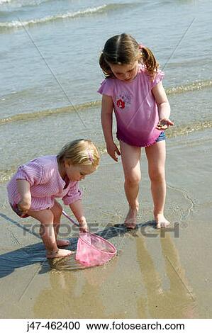 3 year old girl and 18 month old baby girl, on the beach collecting shells View Large Photo Image Stock Image - 3 year old girl and 18 month old baby girl, on the beach collecting shells. Fotosearch