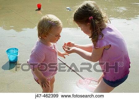 3 year old girl and 18 month old baby girl, on the beach looking at a crab that they? ve found. View Large Photo Image Stock Photo - 3 year old girl and 18 month old baby girl, on the beach looking at a crab that they? ve found.. Fotosearch