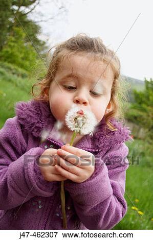 3 year old girl blowing a dandelion View Large Photo Image Stock Photo - 3 year old girl blowing a dandelion. Fotosearch