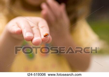 Stock Photograph - 3 year old holding ladybug, Flagstaff, Arizona, USA. Fotosearch