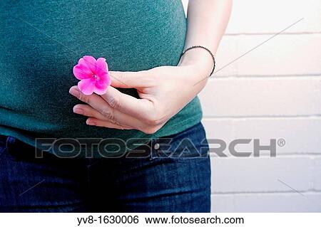 33 weeks pregnant View Large Photo Image Stock Photograph - 33 weeks pregnant. Fotosearch