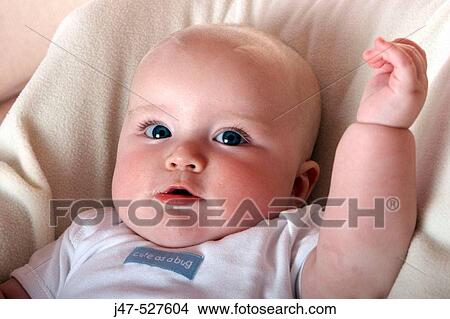 4 month old baby looking into camera View Large Photo Image Picture - 4 month old baby looking into camera. Fotosearch