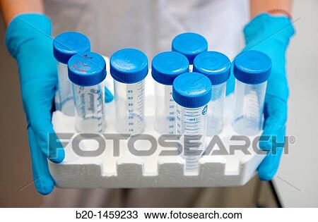 Stock Image - 50 ml sample tubes, Tissue engineering lab, Oncology and Regenerative Medicine Research, Biodonostia Health and Biomedicine Research Institute, San Sebastian, Donostia, Gipuzkoa, Euskadi, Spain. Fotosearch